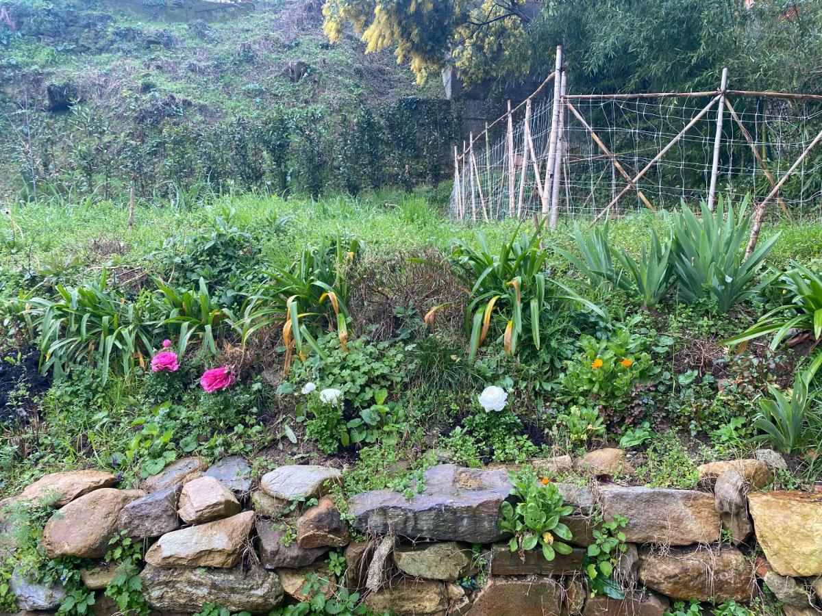 Dolce Vita In Tuscany B&B Capannori Bagian luar foto